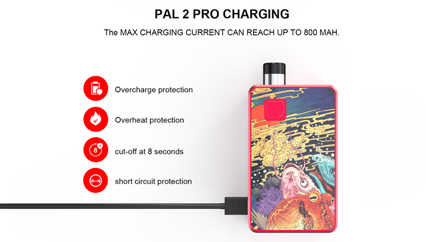 Artery PAL II Pro Kit Multiple Protections