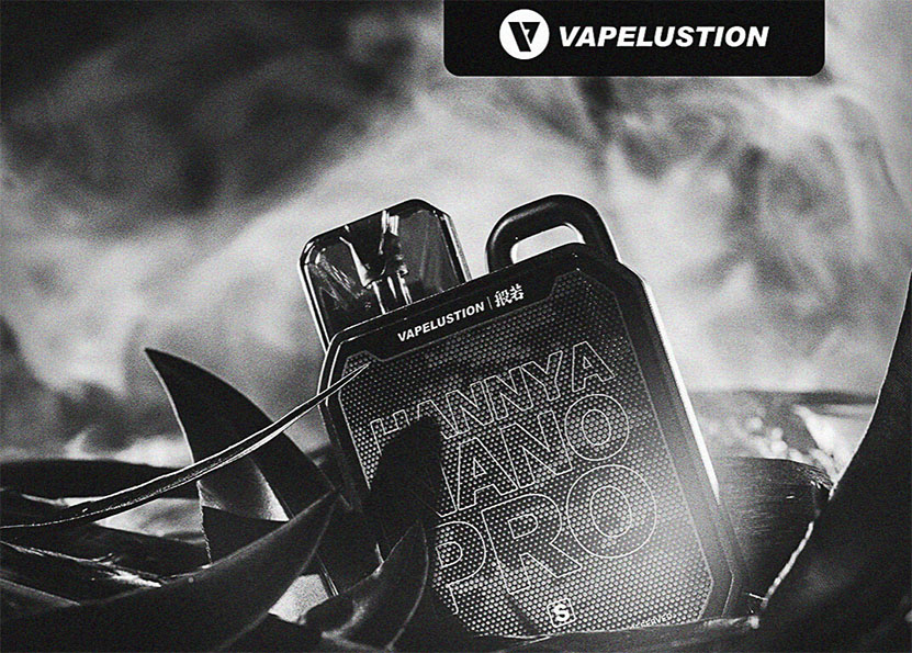 Vapelustion Hannya Nano Pro S Kit